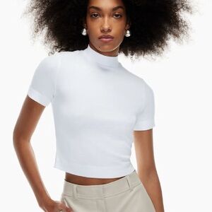 Aritzia Babaton Gonzala Hip Tshirt